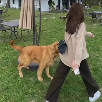 孔雀夫人
